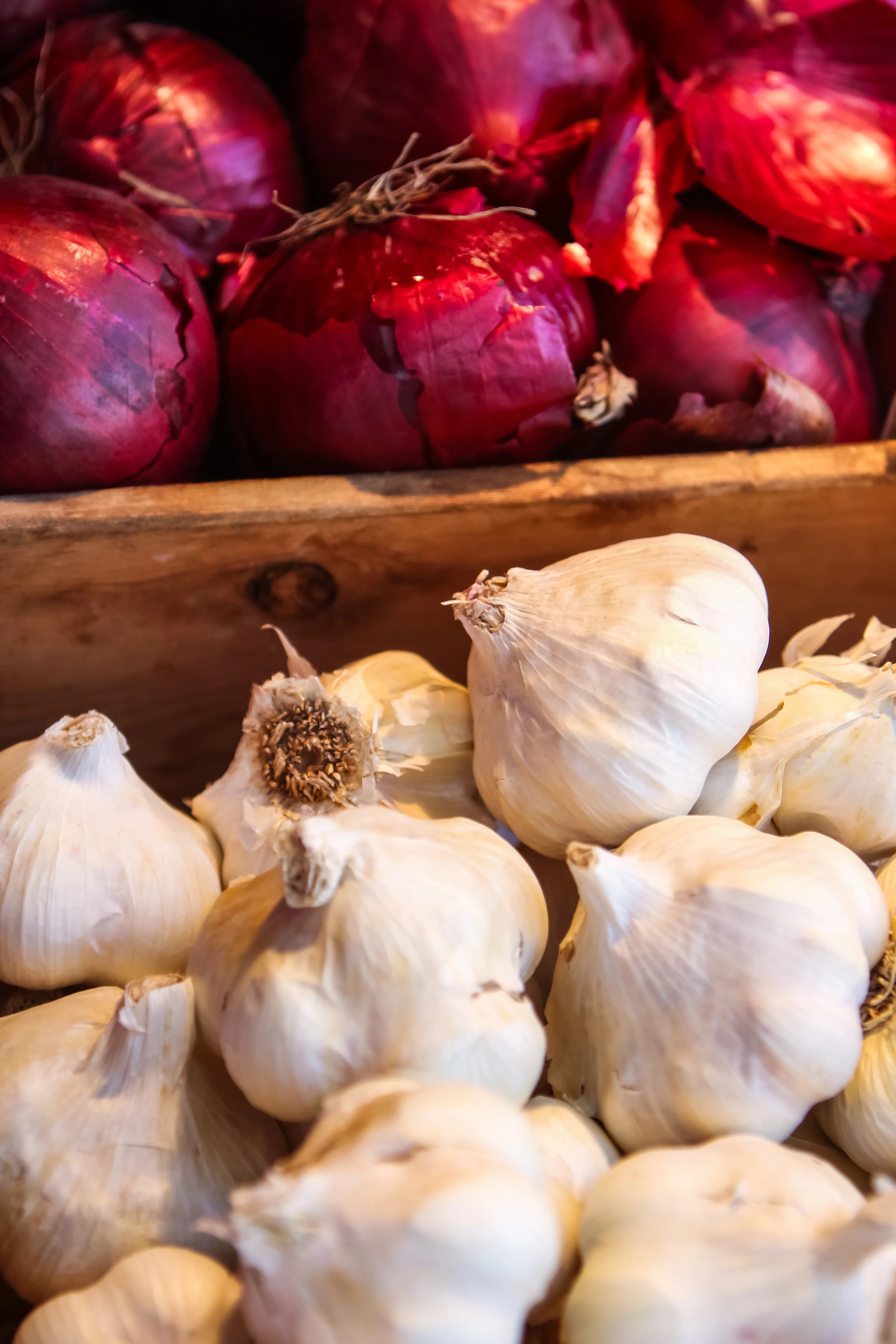 Graded Mandsaur garlic ready for GCC export orders