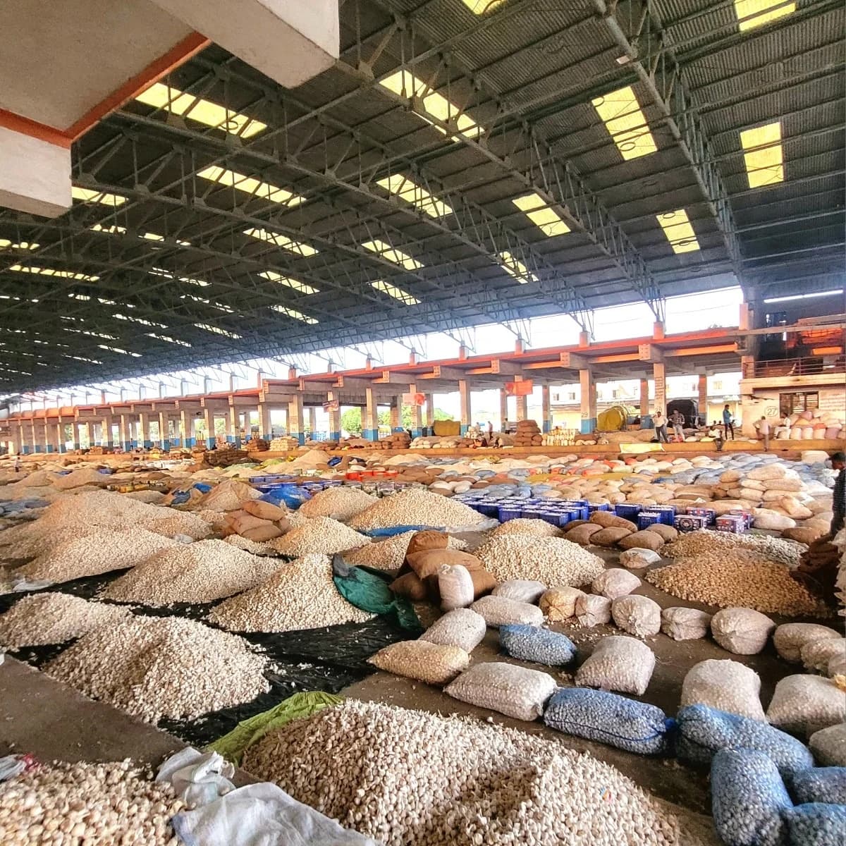 RR Traders mandi office and logistics desk