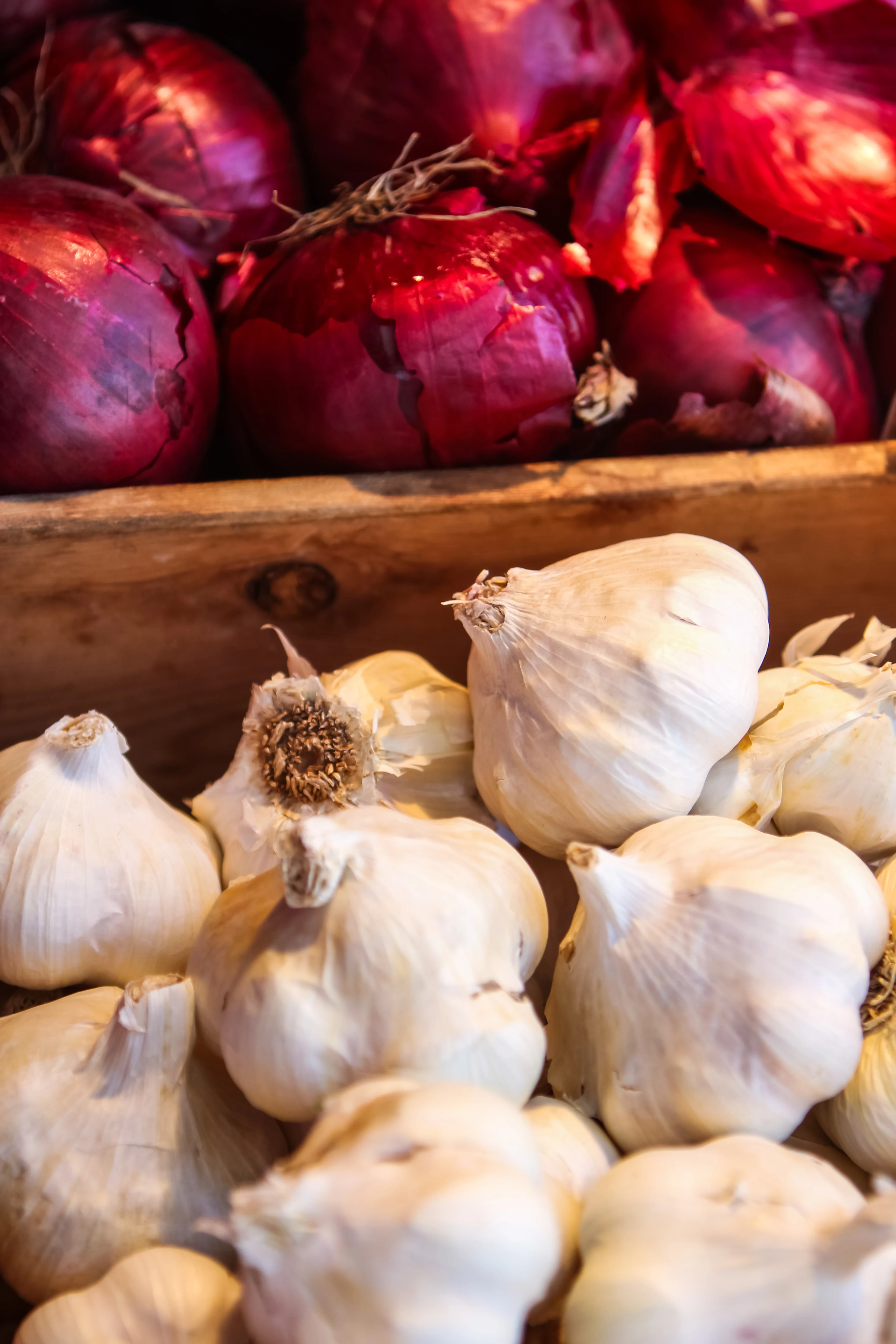 Riyavan Silver garlic bulbs from Mandsaur mandi
